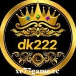 DK222 Game logo